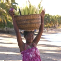 Vendeuse de maïs