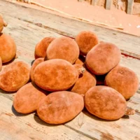 Fruit de Baobab