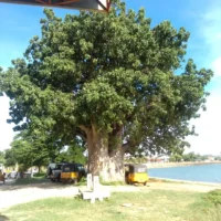 Majunga, Madagascar