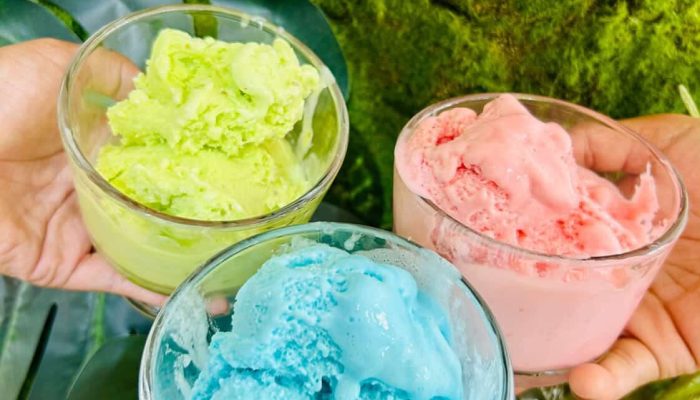 Photo des glaces disponible au restaurant le Napoliz, à Antananarivo